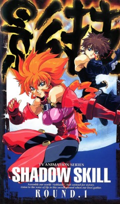 ��������� ���� [��] / Shadow Skill TV