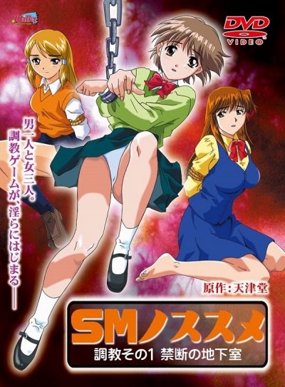 ����-���� ������ / SM no Susume